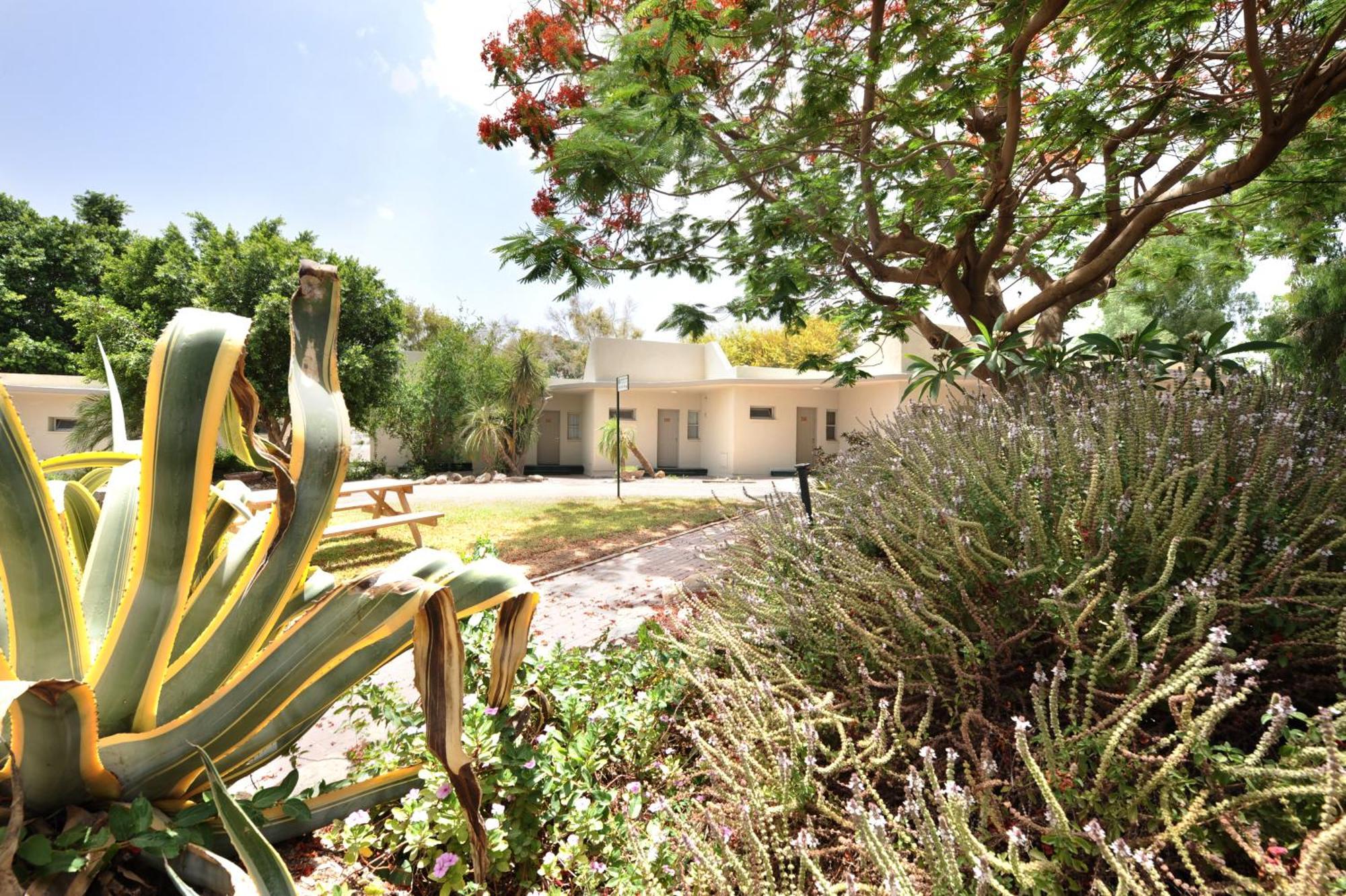Almog Hotel Exterior photo