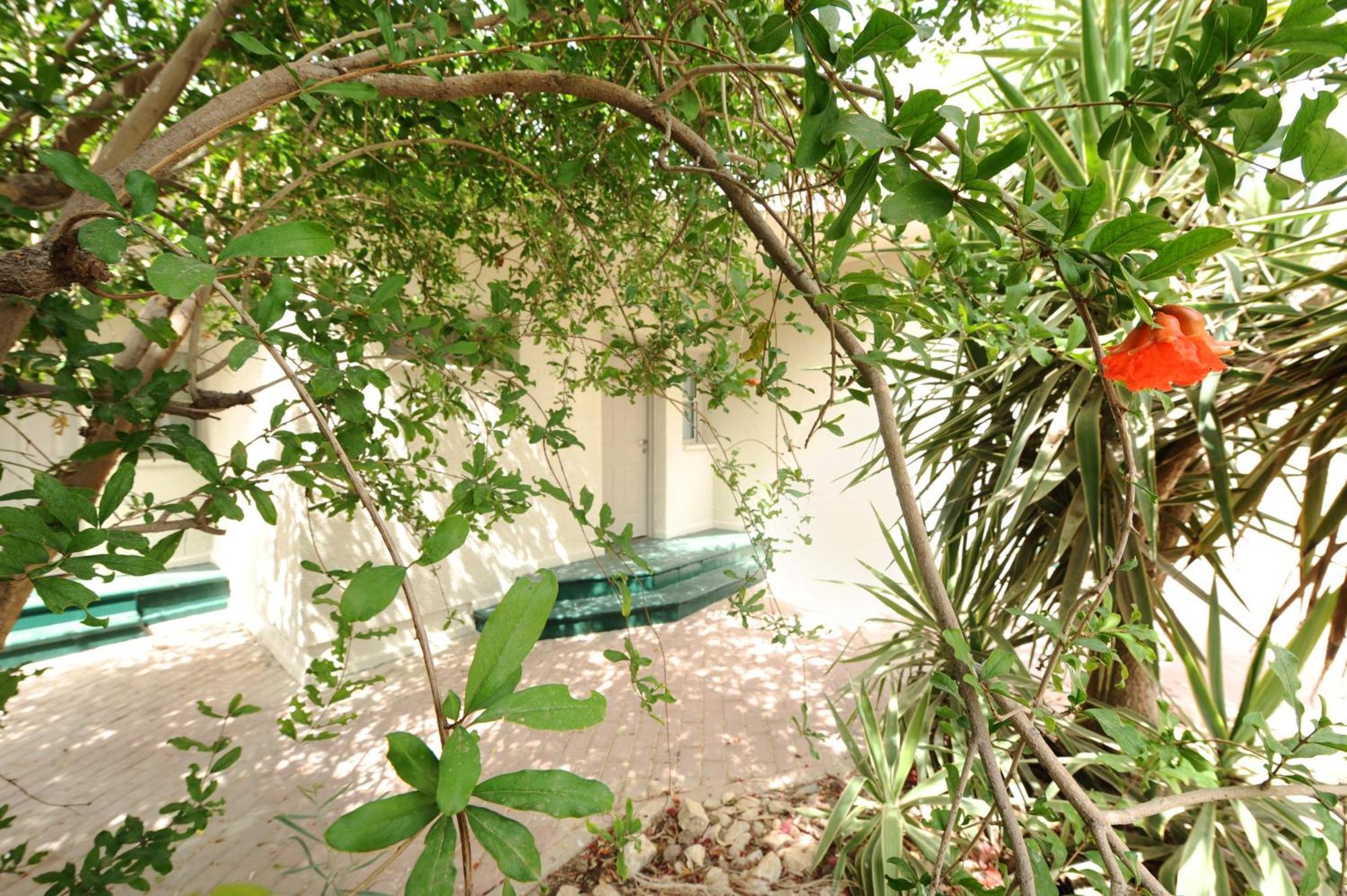 Almog Hotel Exterior photo